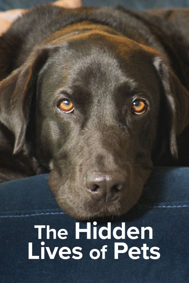 The Hidden Lives of Pets (2022) ชีวิตลับสัตว์เลี้ยง EP.1-4 (จบ)